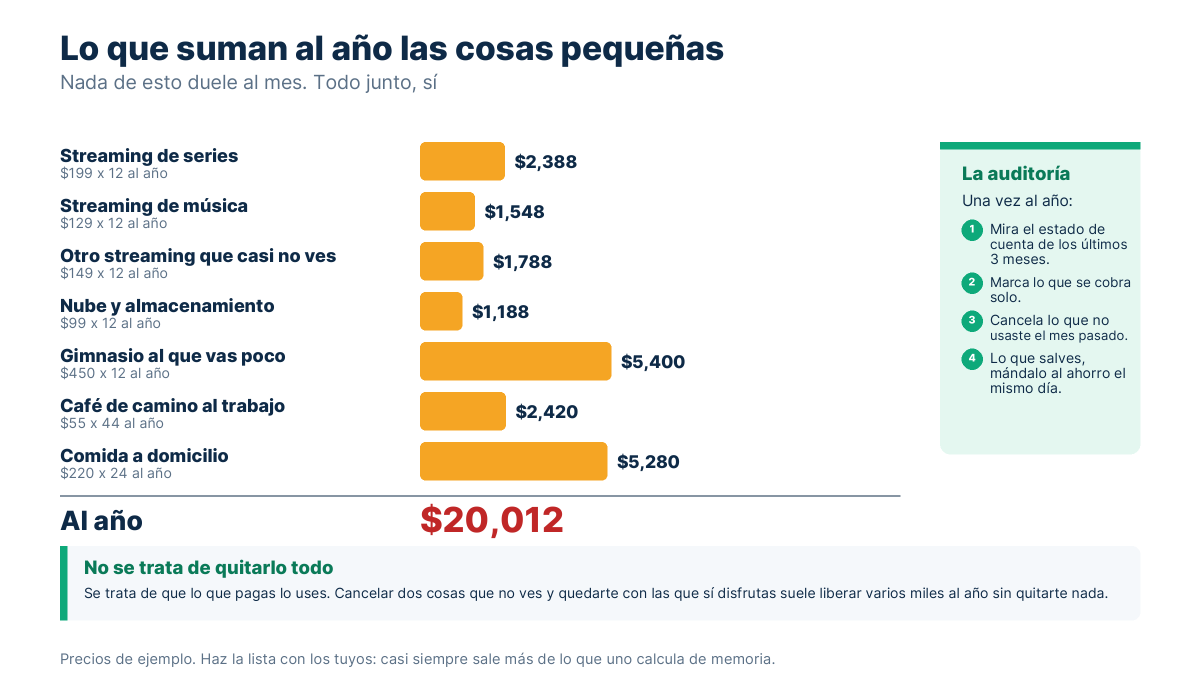 Barras con el coste anual de suscripciones, gimnasio, café diario y comida a domicilio, y el total acumulado del año